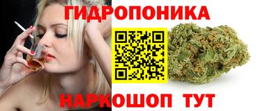 PSILOCYBIN Балахна