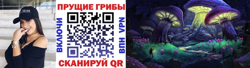 Псилоцибиновые грибы Psilocybine cubensis  Владивосток 