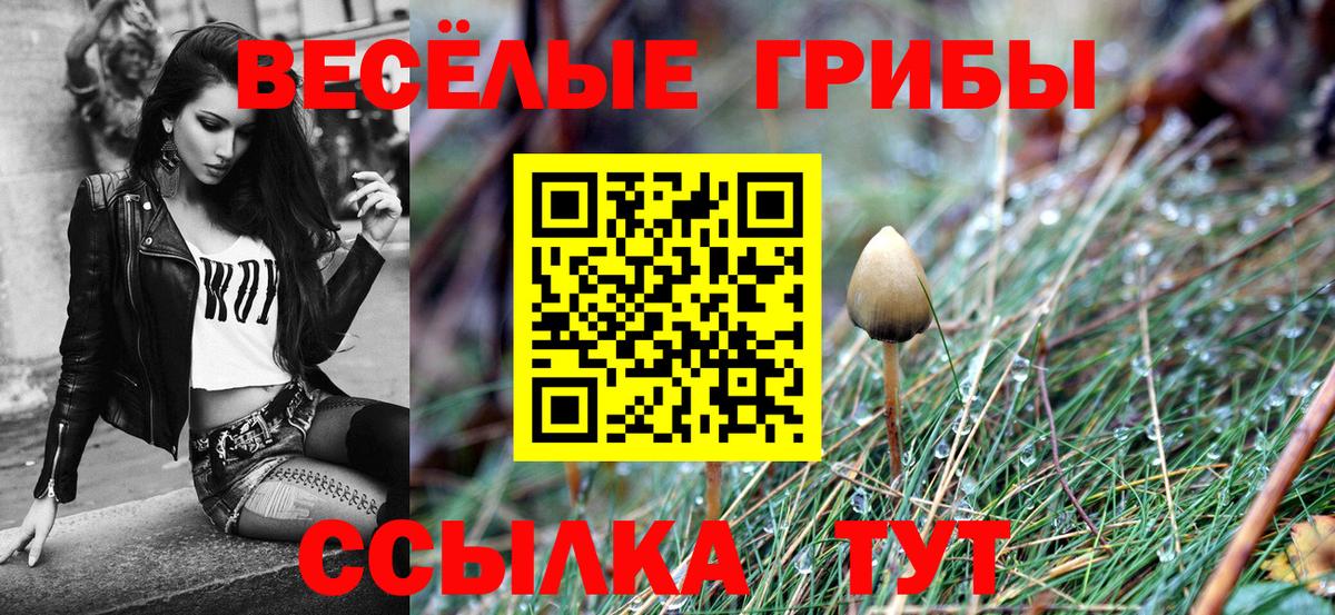 Владивосток  купить   Вход с VPN  Галлюциногенные грибы GOLDEN TEACHER 