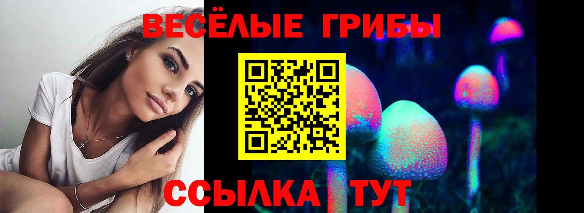 Галлюциногенные грибы Psilocybine cubensis  купить   Владивосток  Псилоцибиновые грибы Magic Shrooms 